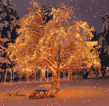 christmas lights tree snow chair