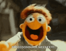 a close up of a muppet saying freedommmm weeeee !!!