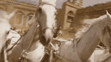 Riding Horse Jack Huston GIF