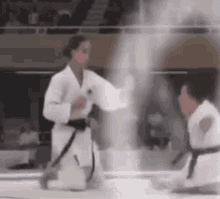 Midget Karate GIF - Midget Karate Taekwondo GIFs