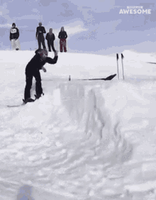 Skiing People Are Awesome GIF