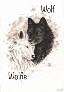 a black and white drawing of a wolf and a wolfie .