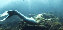 Mermaid Under The Sea GIF - Mermaid Under The Sea Swimming GIFs