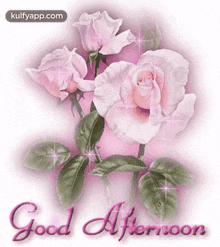 Good Afternoon.Gif GIF - Good Afternoon Goodafternoon Wishes GIFs