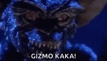 a close up of a gremlin from the movie gremlins with the words `` gizmo kaka '' written on the bottom .