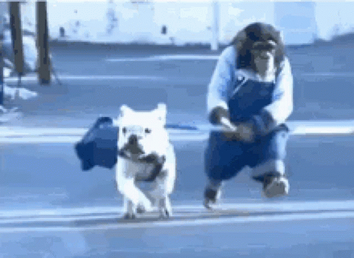 monkey-walking-dog-cute.gif