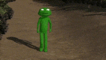 a green frog is standing on a dirt road