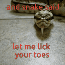 Snake Lick Toes Let Me Lick You Toes GIF - Snake Lick Toes Let Me Lick You Toes GIFs
