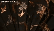 a man wearing sunglasses is covering his face with a fan and the words viperissima are above him .