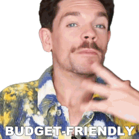 Budget Friendly Robin James Sticker - Budget Friendly Robin James Affordable Stickers