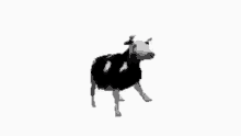 The Cow After Roblox Verification Be Like GIF - The Cow After Roblox Verification Be Like GIFs