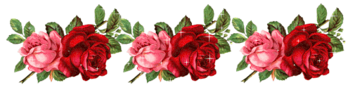 Rose Rosse Sticker - Rose Rosse Stickers