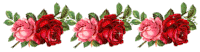 Rose Rosse Sticker