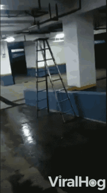 Ladder Moving GIF - Ladder Moving Scary GIFs