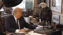 Eagle Attacks Trump GIF