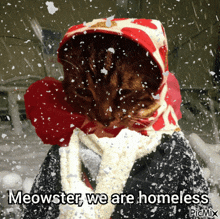 a cat is wearing a scarf and a hood and says meowster we are homeless on the bottom