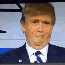 Trump Donald Trump GIF - Trump Donald Trump Really GIFs