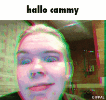Hellocammy Hellodave GIF