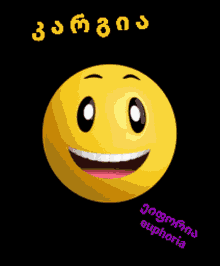 a yellow smiley face on a black background with euphoria written in purple