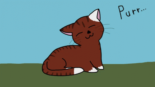 moving animations of cats