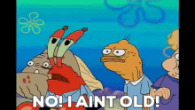 i aint old aint old not old old krabs