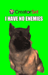 I Have No Enemies I Have No Enemies Dog GIF - I Have No Enemies I Have No Enemies Dog Butterfly Dog GIFs