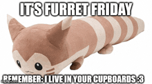 Pokemon Furret GIF - Pokemon Furret Furret Friday GIFs