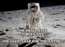 Ant Republic Ants GIF - Ant Republic Ants Small Step For An Ant GIFs