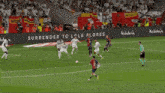 a soccer game is being played in front of a banner that says andalousia