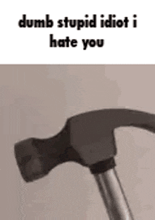 a dumb stupid idiot i hate you meme with a hammer .