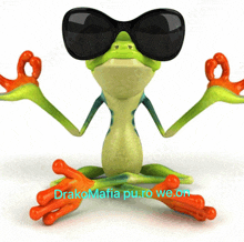 a frog wearing sunglasses sits in a yoga pose