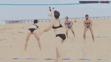 Volleyball GIF