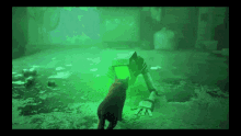 a cat standing next to a robot with a green light coming out of it