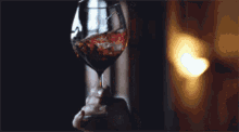 Red Wine Wine GIF