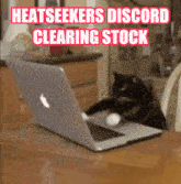 Heatseekers Cat GIF - Heatseekers Cat Discord GIFs