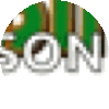 a green circle with the word son in white letters on it .