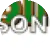 a green circle with the word son in white letters on it .