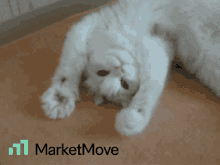 mm marketmove move trend trending