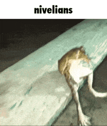 a frog is crawling on a piece of wood with the word nivelians above it
