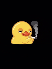 a rubber duck is smoking a cigarette with smoke coming out of its mouth .