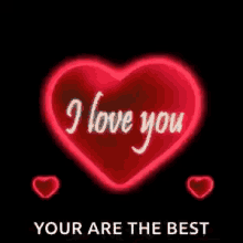 i love you you are the best