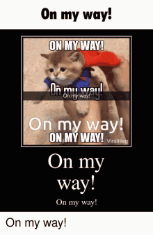 On My Way Cat GIF - On My Way Cat Pringles GIFs