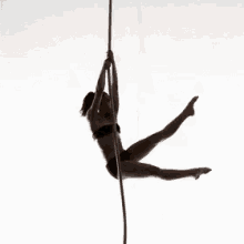 Rope GIF - Rope Dance Perform GIFs