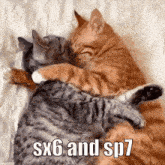 Sx6 Sp7 GIF - Sx6 Sp7 7w8 GIFs