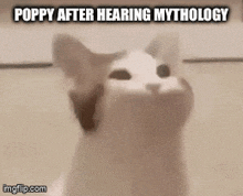 a cat is looking up at the camera with the words poppy after hearing mythology above it .