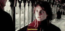 Harry Potter Spectacular GIF - Harry Potter Spectacular Oh Goody GIFs