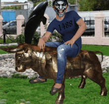 a man wearing a shirt with the number 1488 on it is riding a bull