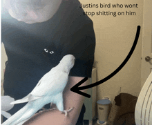 a person holding a white bird with an arrow pointing to justin 's bird who won t stop shitting on him