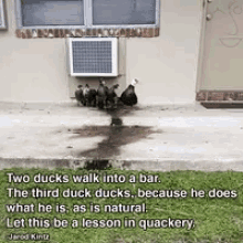 Duck Ducks GIF - Duck Ducks Quakery GIFs