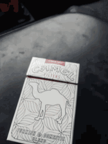 Smoke Cigarette GIF - Smoke Cigarette Camel GIFs